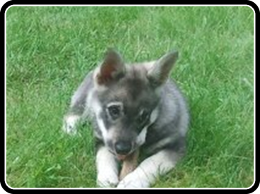 Ayla-10-v-2.jpg Ayla-10-v-2.jpg
