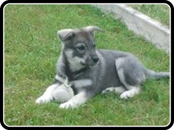 Ayla-3.jpg Ayla-3.jpg