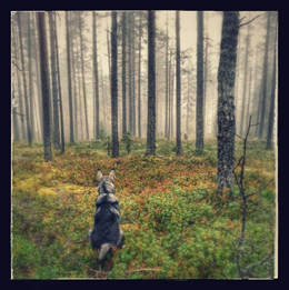 BOY-20-september-2014-2.jpg BOY-20-september-2014-2.jpg