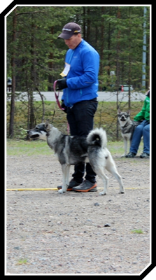 IMG_4761.JPG IMG_4761.JPG