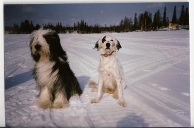 tootsie & molly