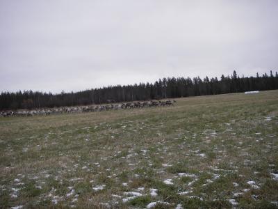 imgp2054 imgp2054