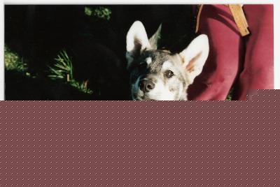 Ticko 2003