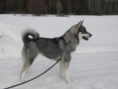 vanja 1 år vanja 1 år