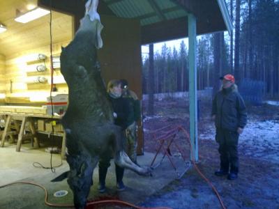 Slakthus i Myrdalen