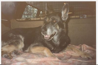 birka 1989 birka 1989