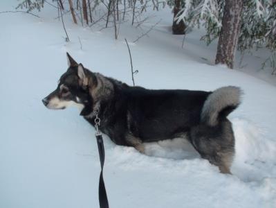 Djupsnöträning Ticko Djupsnöträning Ticko