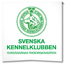 SKK logo SKK logo