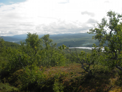 tärnafjäll2