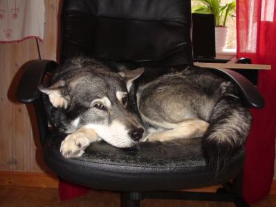 ticko (2) ticko (2)