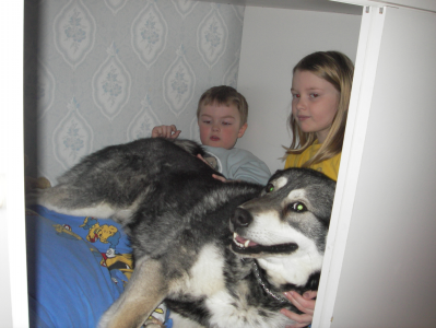ticko, jonna och viktor ticko, jonna och viktor