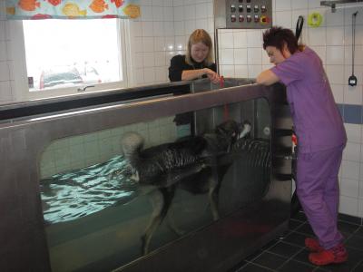 ticko på rehab ticko på rehab