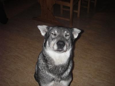 troja (3) troja (3)